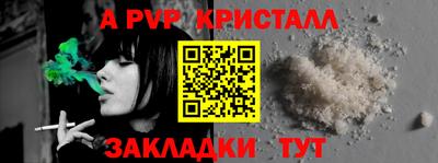 шишки Гагарин
