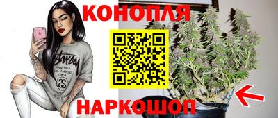шишки Гагарин