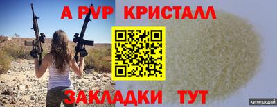 шишки Гагарин