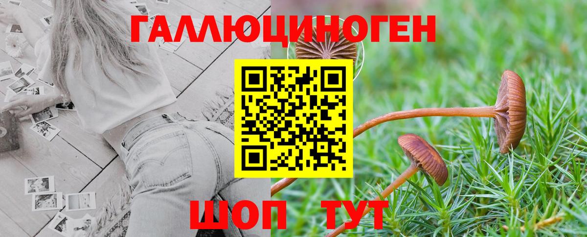 Псилоцибиновые грибы прущие грибы  Вход с VPN  Москва 